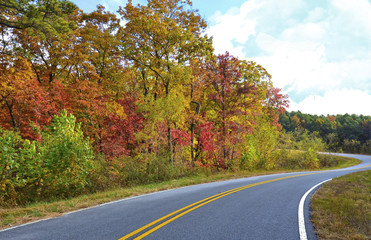 Curving Road Autumn Colors
