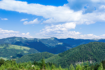Fototapeta na wymiar landscape of a Carpathians mountains with fir-trees, grassy valley and sky