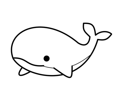 シロナガスクジラ Images Browse 42 Stock Photos Vectors And Video Adobe Stock シロナガスクジラ Images Browse 42 Stock Photos Vectors And Video Adobe Stock