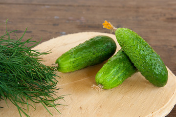 Cucumbers and bunch of fresh organic dill on a rustic wooden background.