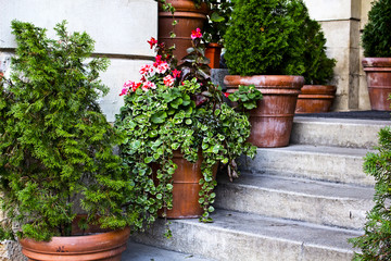 Outside flowers on the stairs at the street - 179827940