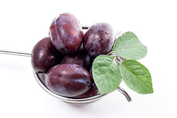 Steel colander with ripe plums isolated on a white background..