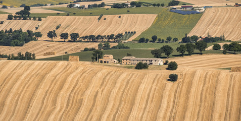 Summer landscape in Marches (Italy) near Filottrano