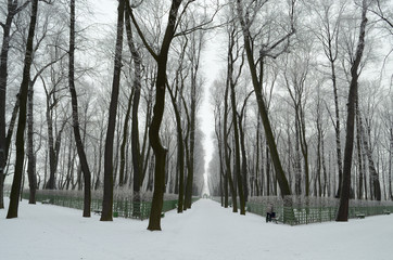 City Park in winter.