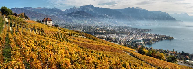 Rolgordijnen panorama of autumn vineyards in Switzerland © nikitos77