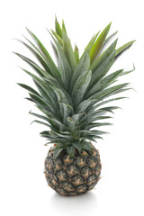 Fototapeta premium pineapple on white background