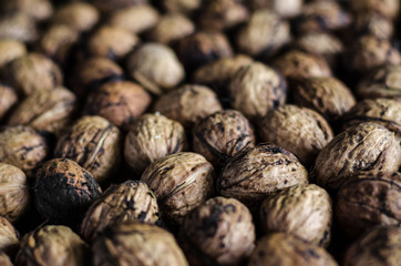 texture a lot of walnuts on the whole frame