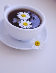 Chamomile tea, chamomile flower in a cup of tea.