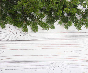 Fir branches isolated on white background