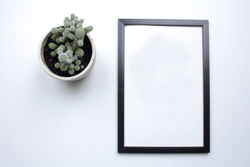 top view of photoframe on white table with plant decoration