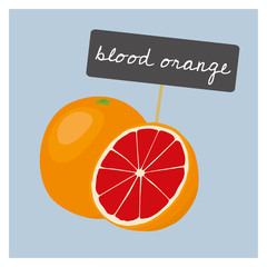 Vector Fruit - Blood Orange - 179835538
