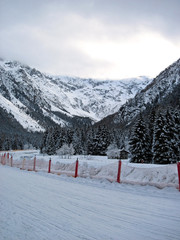 An empty cross-country skiing trail immersed in a mountain valley landscape (Italian Alps). The panorama is covered with snow. Pine forest in the background. Cloudy sky, morning light. Vertical Photo.