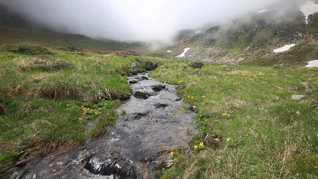 Mountain spring flowing 