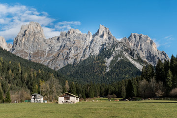 Fototapety na wymiar - Fototapeta24.pl