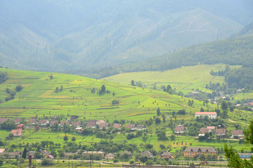 Aerial view of green summer landscape, mountains, trees, forest, village in the mountains