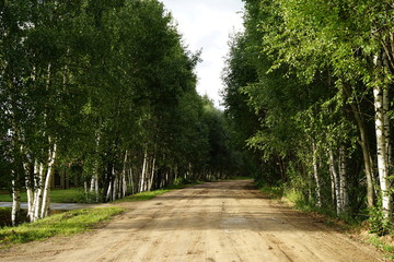 Fototapeta premium road