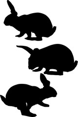 three rabbit silhouettes collection isolated on white