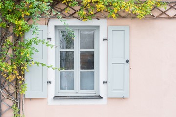 Fototapeta na wymiar Altes Fenster mit Fensterladen und Rosen Strauch