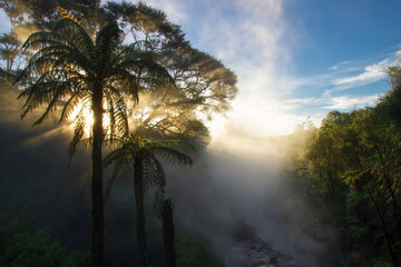 Waikite Thermal Valley