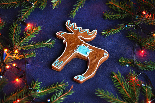 gingerbread cookie - moose in the spruce branches on blue