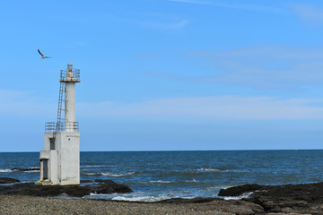 Fototapeta na wymiar 海岸と灯台