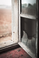 La Finestra sul Cortile