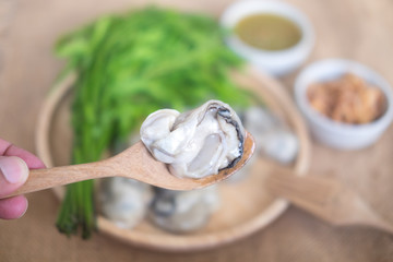 Local fresh oyster