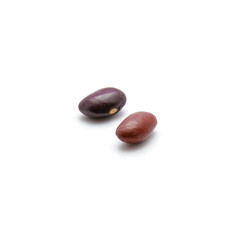 Two kidney beans isolated on white background