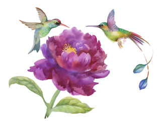 Watercolor hand drawn colorful beautiful flower and birds.