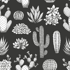 Cotton fabric Cactus seamless pattern. Sketchy style illustration. Succulent collection. Vector illustration