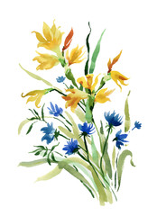 Hand drawn field flowers isolated on white background