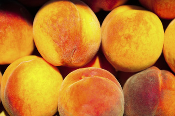 peach background