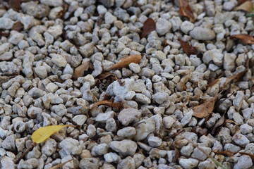Rock background