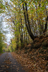 autunno