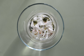 White petals in the vase. View from above
