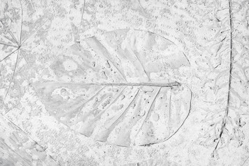marks of leaf on the gray concrete background
