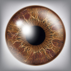 Fototapeta premium Human Eye Iris Vector. 3D Realistic Eyeball Illustration