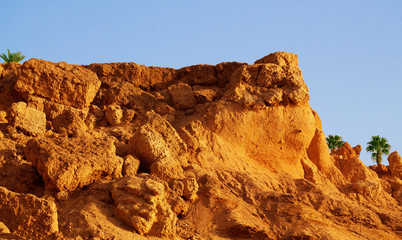 texture sandy-clay soil with a vertical surface of the cliff, gripping the edge of the cliff with vegetation