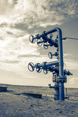 Wellhead with valve armature.