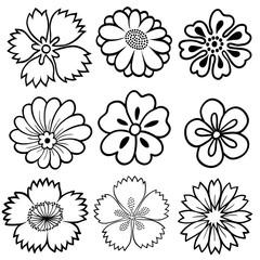 Set of black and white flowers