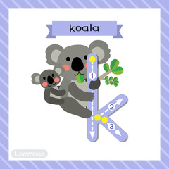 Letter K lowercase cute children colorful zoo and animals ABC alphabet tracing flashcard of Koala bear and baby for kids learning English vocabulary and handwriting vector illustration.