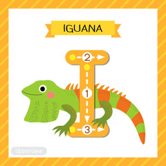 Letter I uppercase cute children colorful zoo and animals ABC alphabet tracing flashcard of Iguana for kids learning English vocabulary and handwriting vector illustration.
