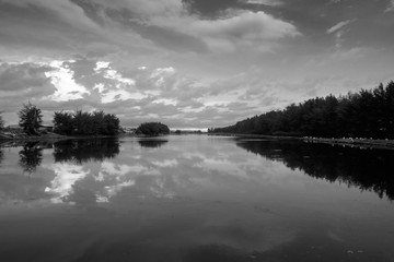 lake and pine forest - black and white, high contrast