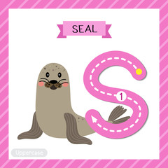 Letter S uppercase cute children colorful zoo and animals ABC alphabet tracing flashcard of Seal for kids learning English vocabulary and handwriting vector illustration.