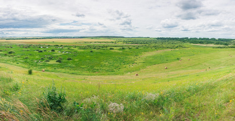 Fototapeta premium Panorama of the meadow