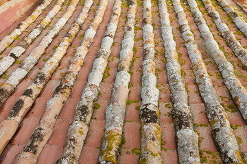 An old roof made of brick covered with moss
