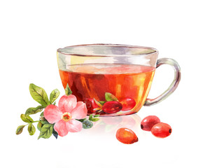 Glass mug of herbal tea. Drink rosehip tea. Beautiful watercolor drawing. Taste of the tea