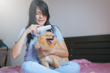 Cheerful asian young teen girl playing and happy fun with her dog at home,feeling happy and smiling face