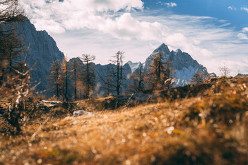 Autumn mountain view on the sunny day in the Julian Alps, Europe