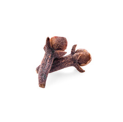 dry cloves on white background